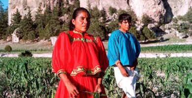 Antes de la llegada de tecnologías para correr y los productos diseñados en base a ellas, nuestras ancestros corrían descalzos sin dolor ni molestias significativas (cita ficticia). Hoy día algunas personas deciden retomar esa práctica simulando el contacto con la tierra mediante zapatos especiales como los Vibram Free y Nike Air Zoom. Estos productos emulen un estilo ancestral que aun conserva su fascinante atractivo (cita ficticia). La evolución deportiva ha dado paso, posiblemente en las próximas olimpiadas, a una reapropiación de la forma original del correr descalzo.