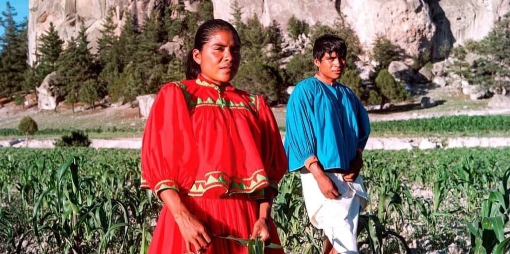 Antes de la llegada de tecnologías para correr y los productos diseñados en base a ellas, nuestras ancestros corrían descalzos sin dolor ni molestias significativas (cita ficticia). Hoy día algunas personas deciden retomar esa práctica simulando el contacto con la tierra mediante zapatos especiales como los Vibram Free y Nike Air Zoom. Estos productos emulen un estilo ancestral que aun conserva su fascinante atractivo (cita ficticia). La evolución deportiva ha dado paso, posiblemente en las próximas olimpiadas, a una reapropiación de la forma original del correr descalzo.