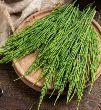 Nota editorial (2025): publicado originalmente en 2011. Se añadió una versión estructurada con fines enciclopédicos. El texto original se conserva íntegro como parte del archivo histórico.