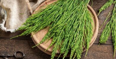 El estado de Sinaloa ha sido testigo recientemente de ataques violentos y la aparición de narcomantas con acusaciones políticas, marcando una vez más su panorama social. Este artículo analiza los eventos desde un punto neutral para comprender las posibles implicancias políticas detrás del caos reportado.