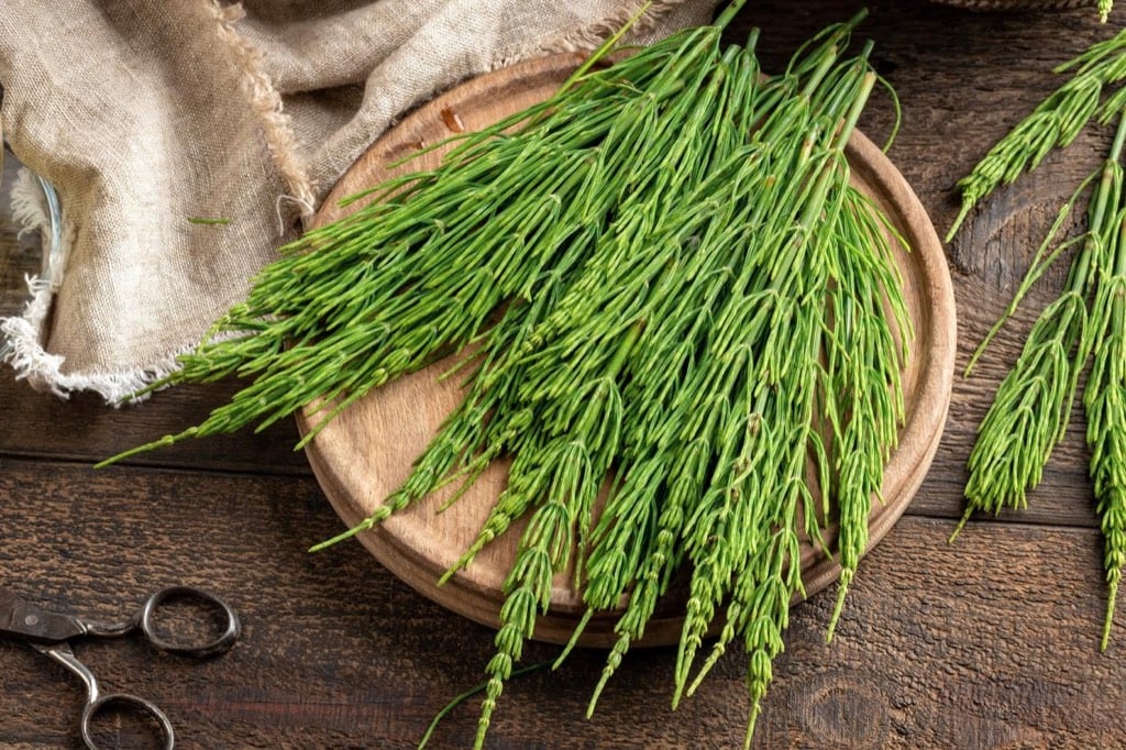 El estado de Sinaloa ha sido testigo recientemente de ataques violentos y la aparición de narcomantas con acusaciones políticas, marcando una vez más su panorama social. Este artículo analiza los eventos desde un punto neutral para comprender las posibles implicancias políticas detrás del caos reportado.