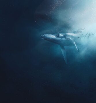 Este artículo analiza un problema técnico que afectó temporalmente al servicio Twitter en horario laboral, detallando las causas y los efectos de dicha interrupción. A pesar de avances significativos para la mayoría del usuarios finales, algunos problemas persisten hoy después de una larga lucha con el mantenimiento técnico.