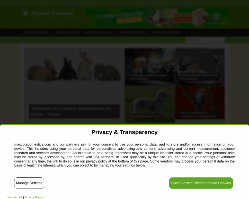 🌐 Website: mascotadomestica.com