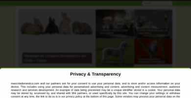 🌐 Website: mascotadomestica.com