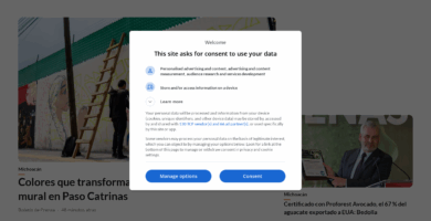 🌐 Website: mimorelia.com