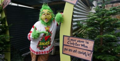 Grinch AI photo prompt a person in a garment holding a sign