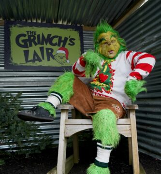 How to Create a Grinch AI Photo Prompt a person in a garment sitting on a chair outside