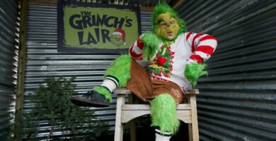How to Create a Grinch AI Photo Prompt a person in a garment sitting on a chair outside